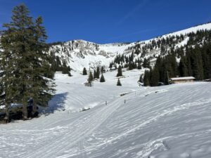 1AF2531D D590 4F1E 9AD8 7F1D5F0CFDAA 1 105 c